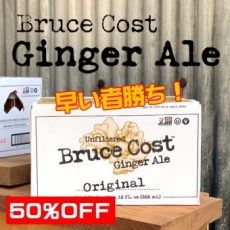 【訳あり】BCGA　オリジナル　24本　ジンジャーエール