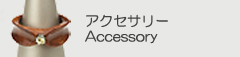 アクセサリー