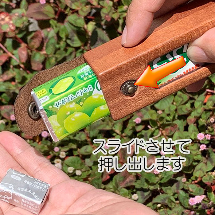 ソフトキャンディぷっちょ専用ケース「LIFE」
